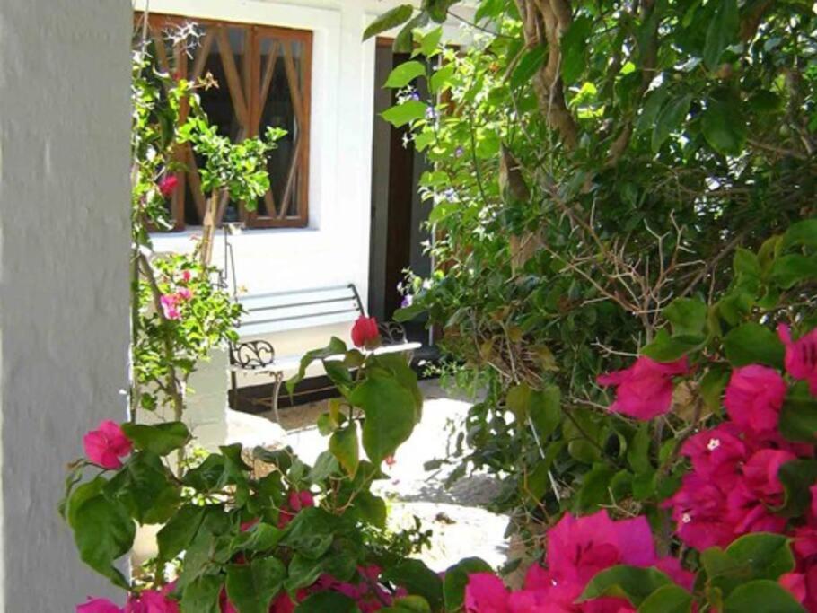 Alternative Space B & B Swakopmund Exterior photo