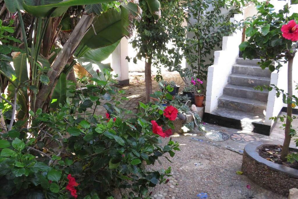 Alternative Space B & B Swakopmund Exterior photo