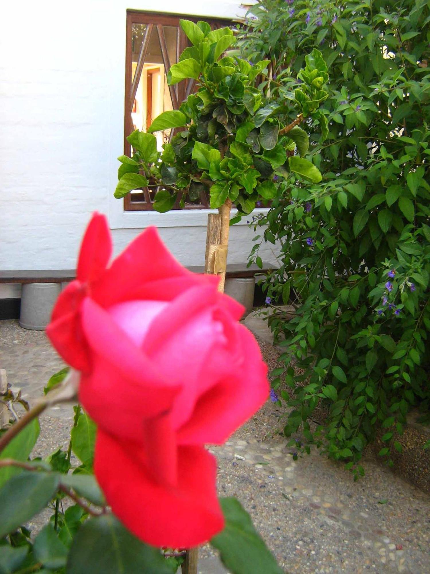 Alternative Space B & B Swakopmund Exterior photo