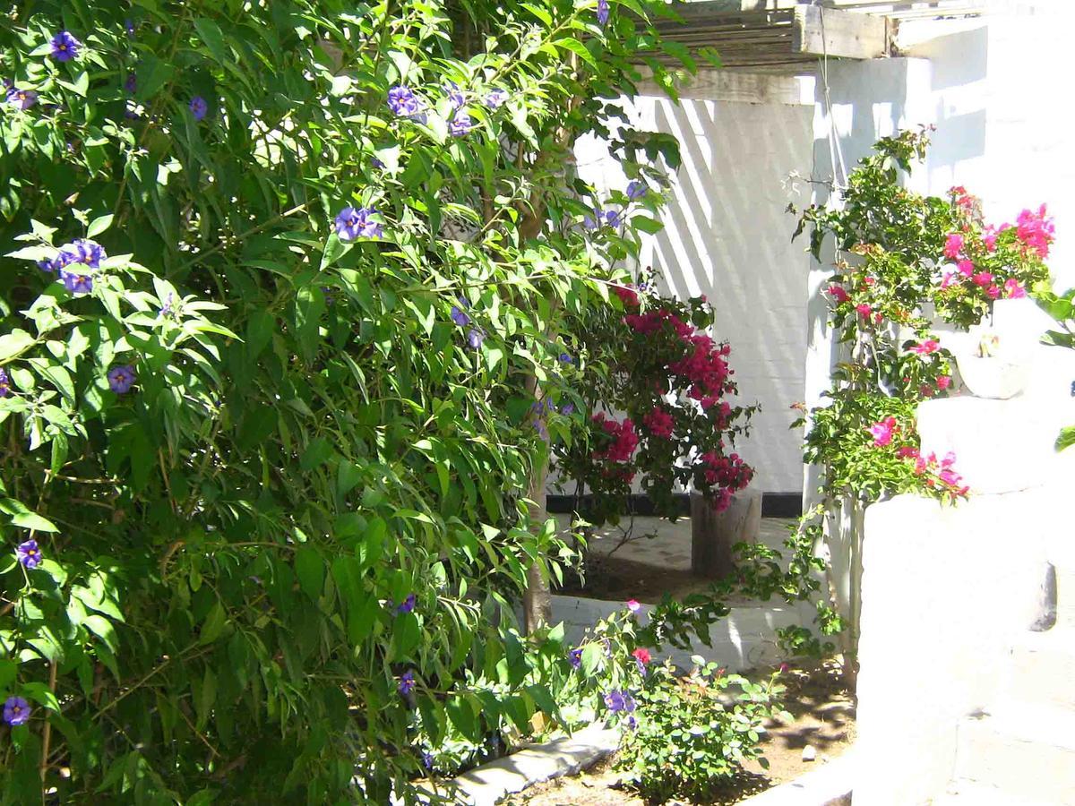 Alternative Space B & B Swakopmund Exterior photo
